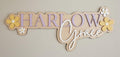 Personalized 3D Daisy Nursery Name Sign